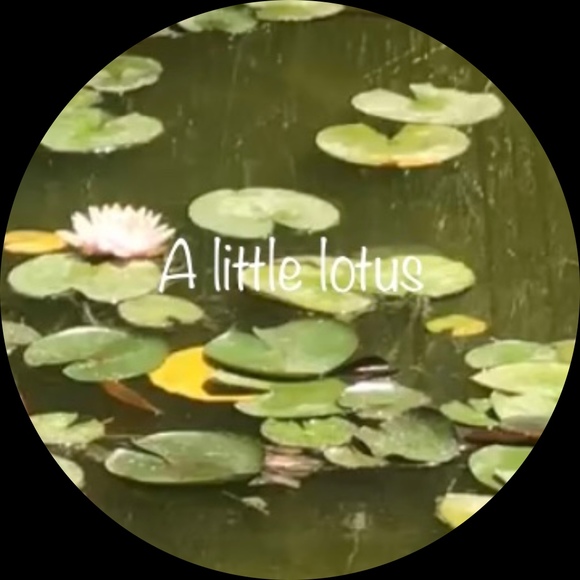 alittlelotus
